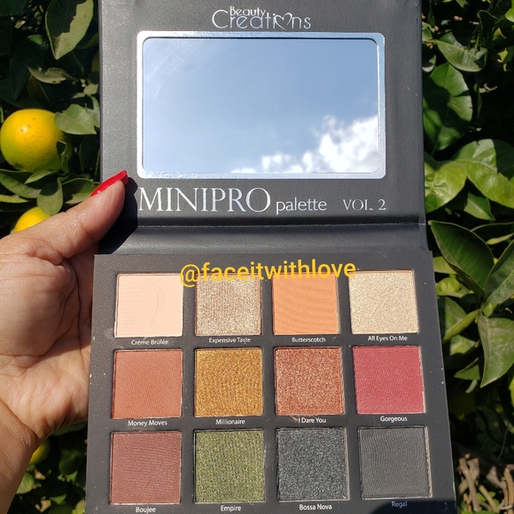 Beauty Creations Makeup Mini Pro Eyeshadow Palette Vol 2 Poshmark